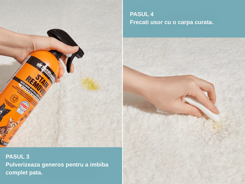 Solutie Profesionala Enzimatica pentru Eliminarea Petelor cu Neutralizare Mirosuri, Pet Standard, 750 ml