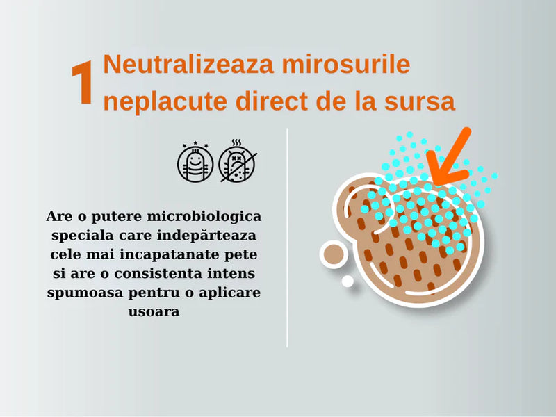Solutie Profesionala Enzimatica pentru Eliminarea Petelor cu Neutralizare Mirosuri, Pet Standard, 750 ml