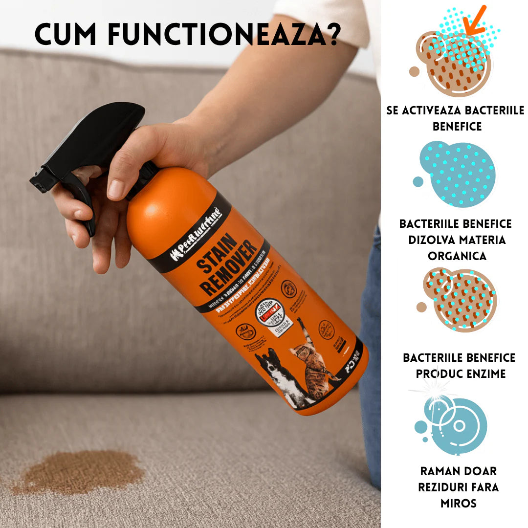Solutie Profesionala Enzimatica pentru Eliminarea Petelor cu Neutralizare Mirosuri, Pet Standard, 750 ml