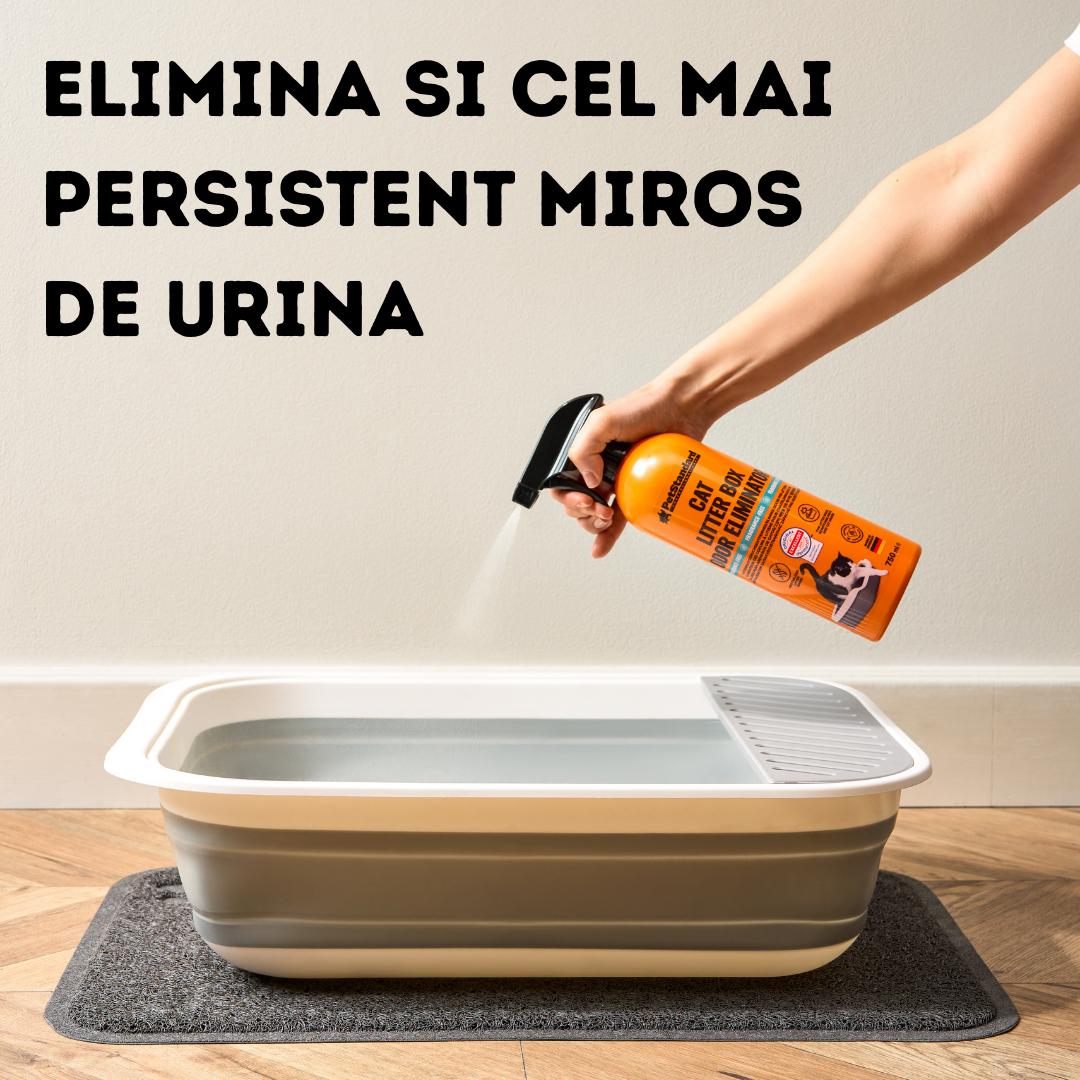 Solutie Profesionala Enzimatica pentru Eliminarea Mirosului de Urina din Litiera Pisicii, pentru Curatare Litiera, fara parfum, 750 ml